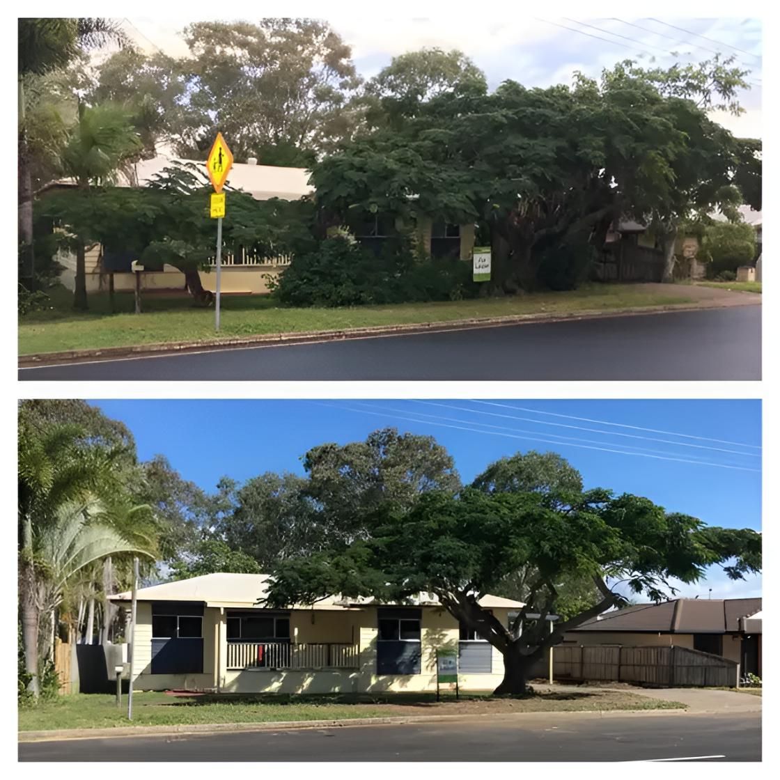 A Before and After Picture of a House With Trees in Front of It — Active Tree Fellas in River Heads, QLD