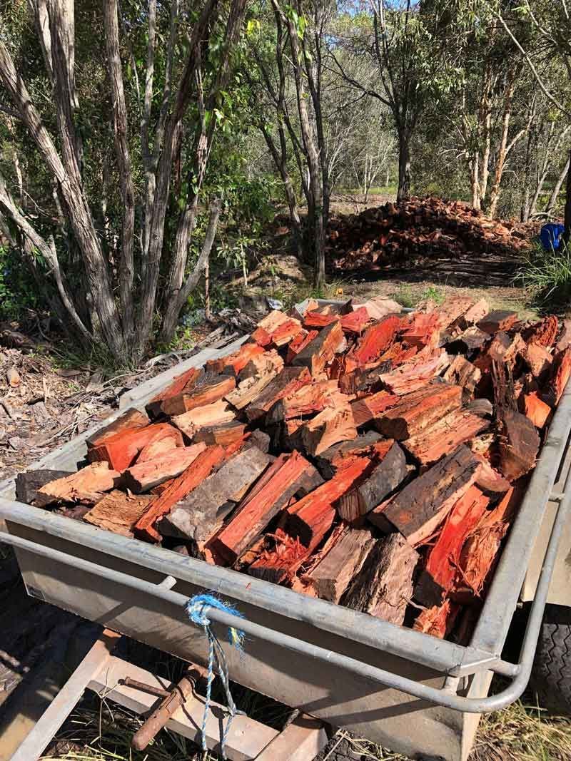 Firewood Compiled in a Cart — Active Tree Fellas in River Heads, QLD