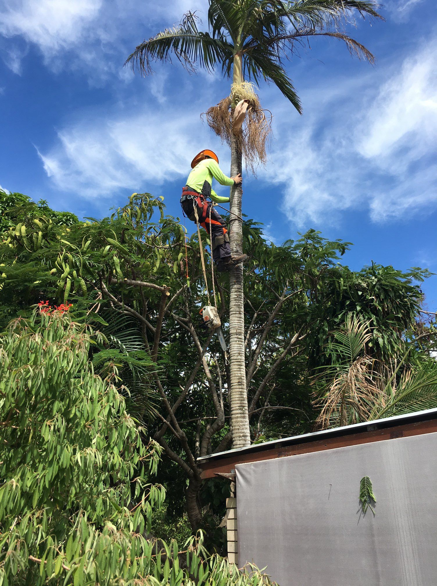 Arborist Working With Tree Branches — Active Tree Fellas in River Heads, QLD