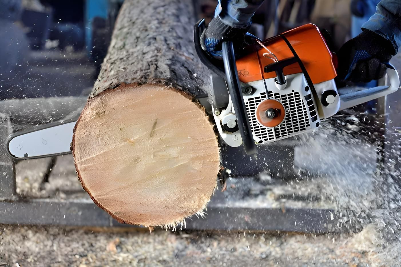 Chainsaw Sawing Wood — Active Tree Fellas in River Heads, QLD