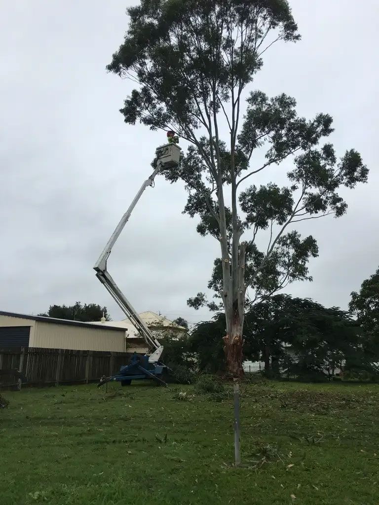Arborist High Up Cutting Branches — Active Tree Fellas in Cherwell, QLD