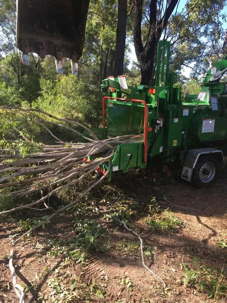 Wood Chipper Machine Filling Back of Truck — Active Tree Fellas in River Heads, QLD
