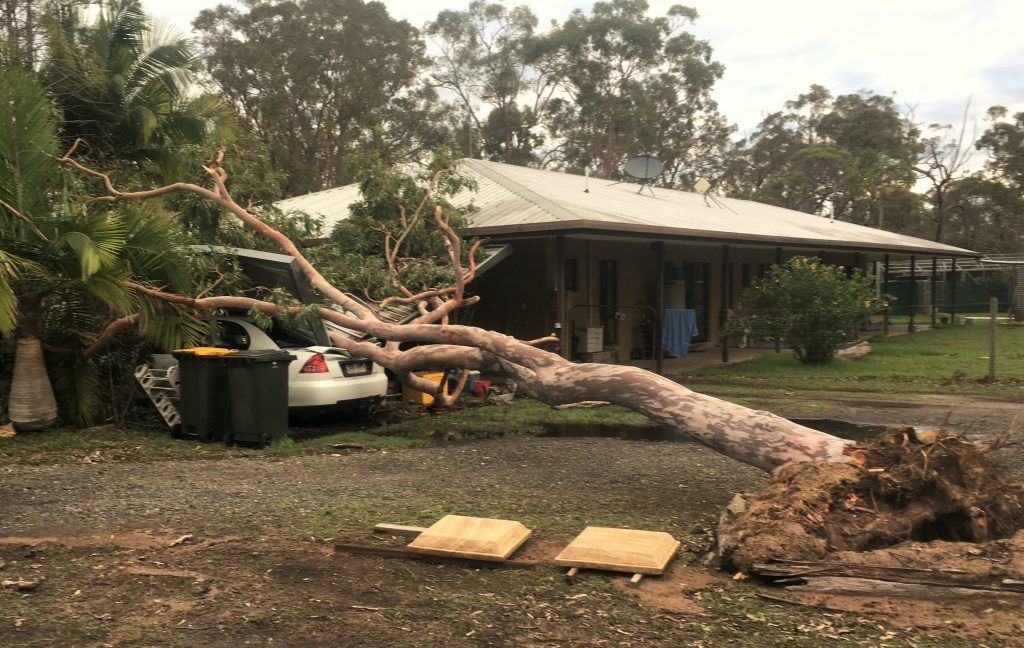 Residential Tree Cutting — Active Tree Fellas in River Heads, QLD