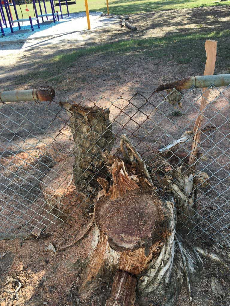 A Tree Stump is Sitting Next to a Chain Link Fence in a Park — Active Tree Fellas in Burrum Heads, QLD