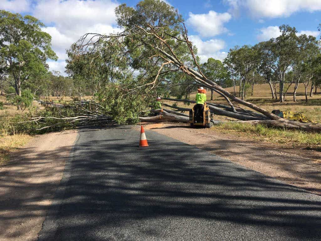 Tree Fell Down With by Arborist — Active Tree Fellas in River Heads, QLD