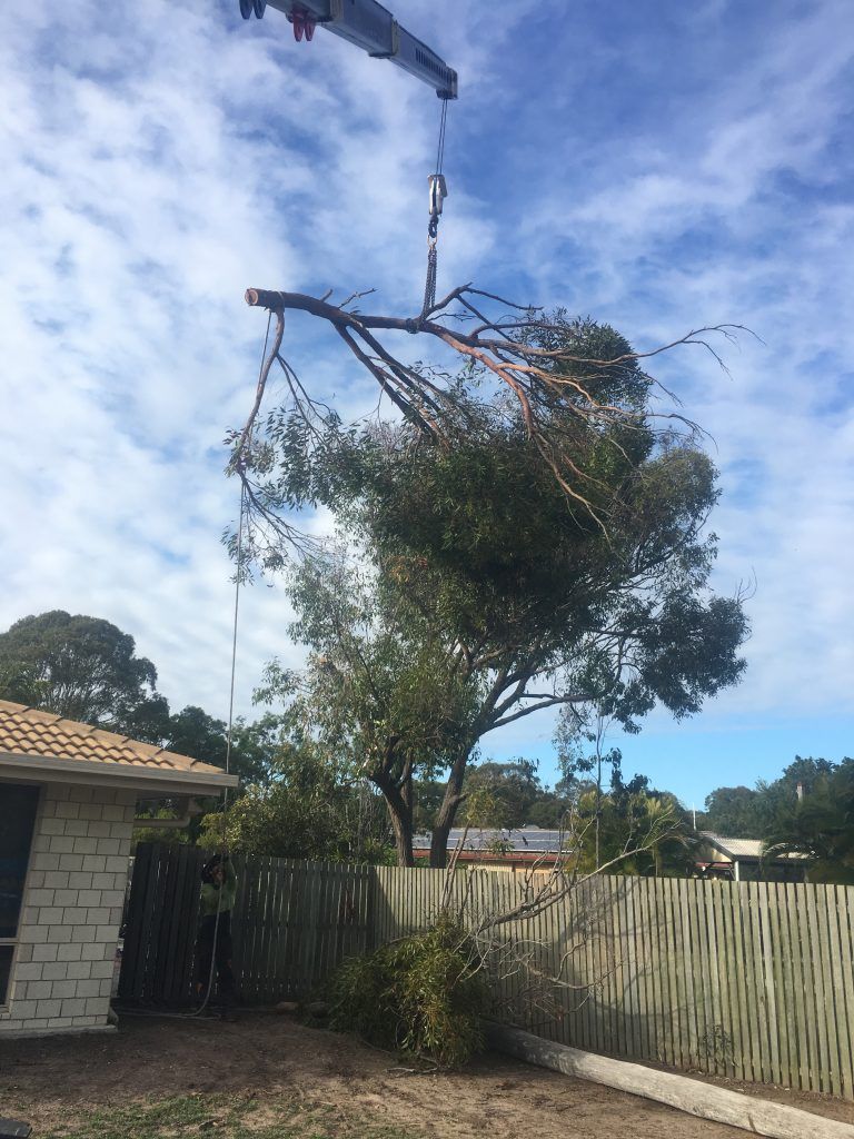A Crane is Lifting a Tree Branch in Front of a House — Active Tree Fellas in Burrum Heads, QLD