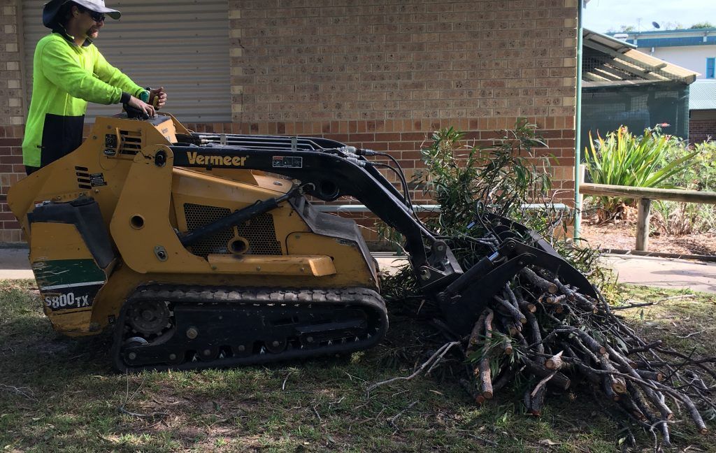 Arborist Using Machine to Clean the Trees — Active Tree Fellas in River Heads, QLD