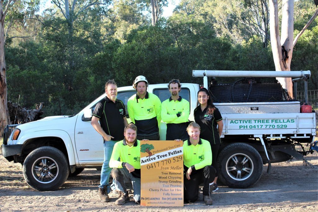 Team Photo — Active Tree Fellas in River Heads, QLD