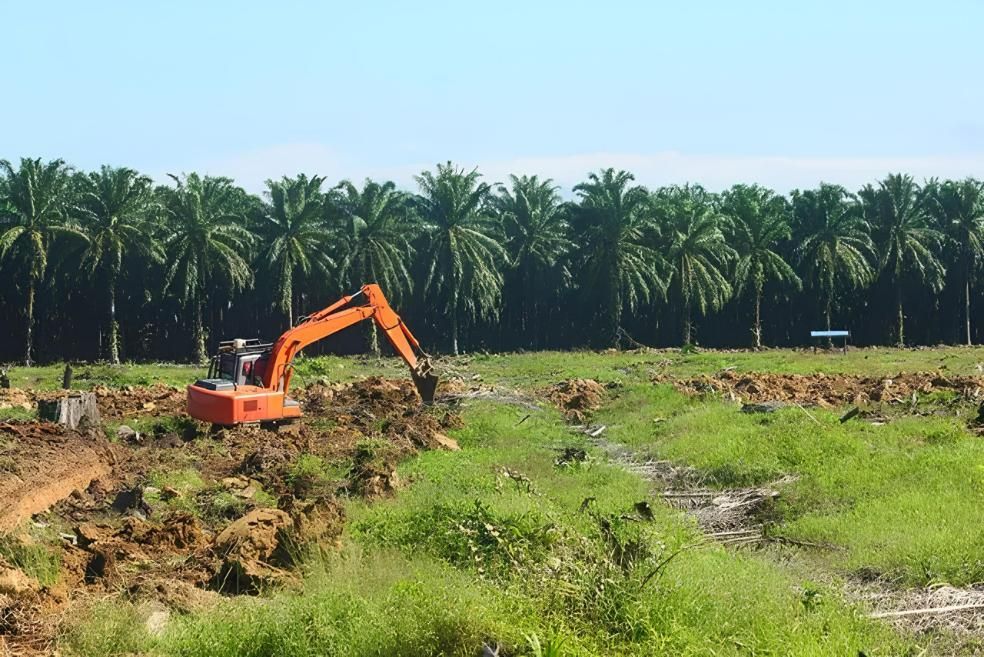 Machine Digging the Ground — Active Tree Fellas in Burrum Heads, QLD