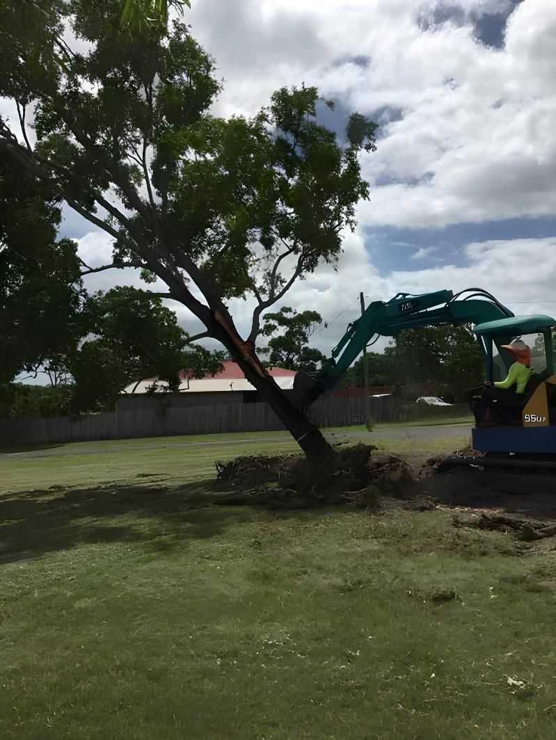 A Man is Driving an Excavator Next to a Tree in a Field — Active Tree Fellas in Fraser Coast, QLD