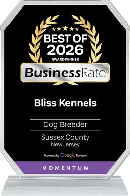 BusinessRate Best of 2026 award plaque for Bliss Kennels, black and gold with purple base.