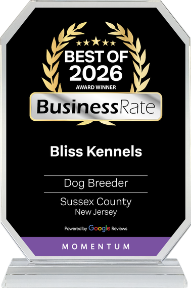 BusinessRate Best of 2026 award plaque for Bliss Kennels, black and gold with purple base.