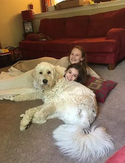 Two girls cuddling with a large white dog on a carpet in a living room with a red couch