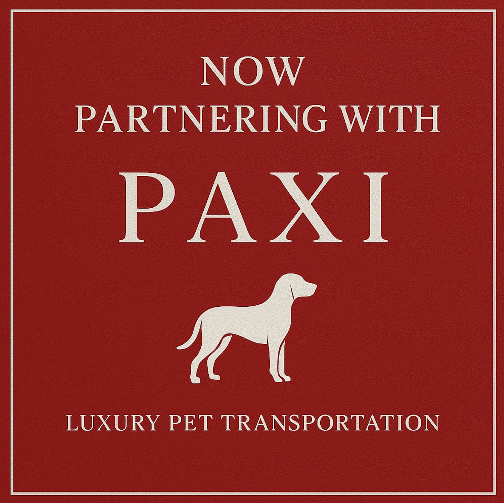 Red and white promo reading “Now partnering with PAXI” for luxury pet transportation, with a dog silhouette.