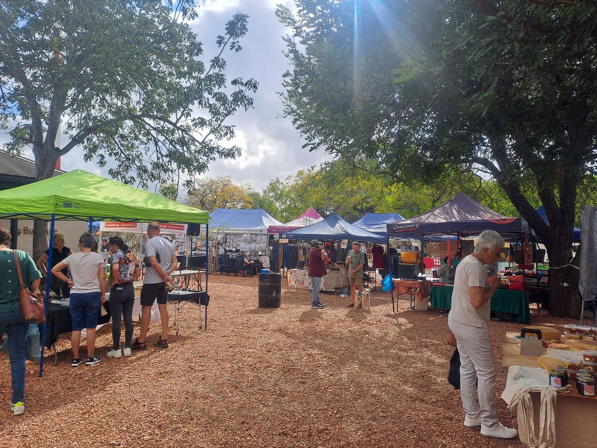 A group of people are standing in a field at a market.