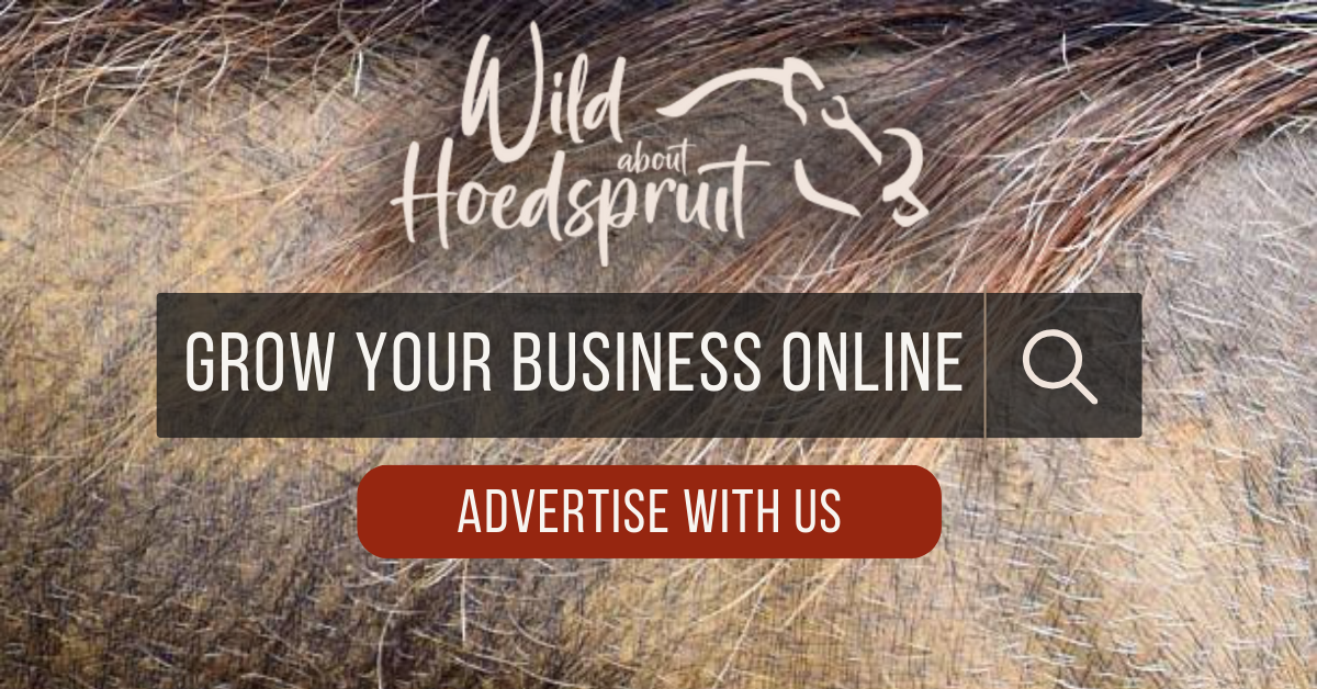 A screenshot of a website that says wild hoedspruit grow your business online advertise with us