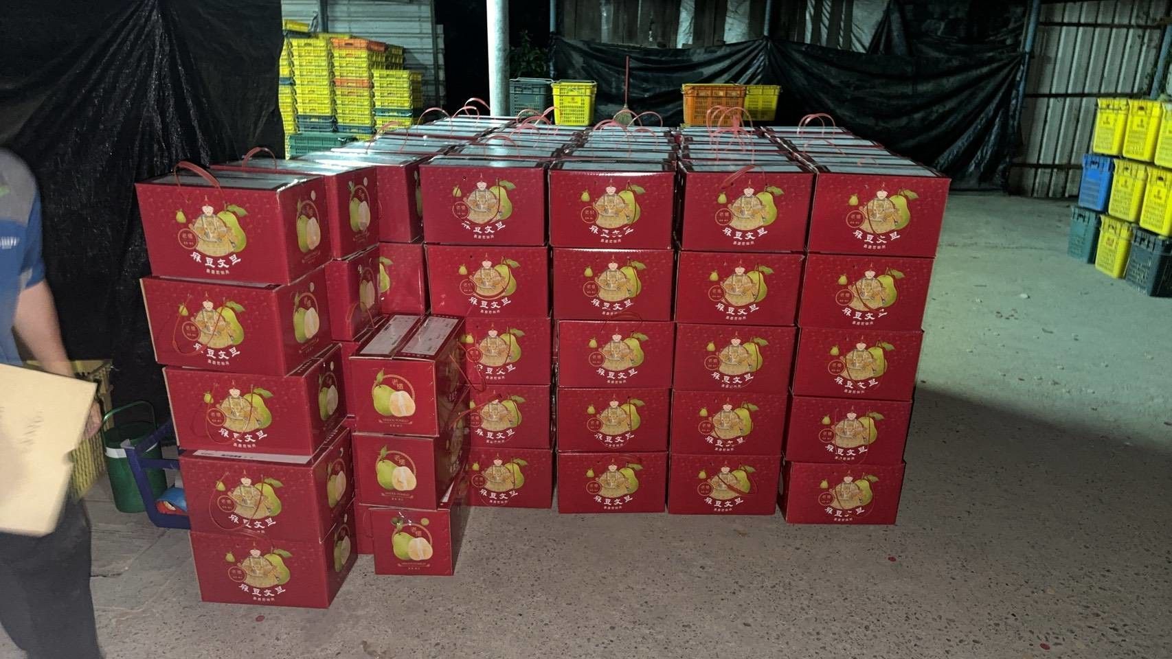鮮採台南老欉文旦(10台斤箱出)