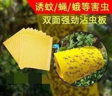 黏蟲神器(1組20片)