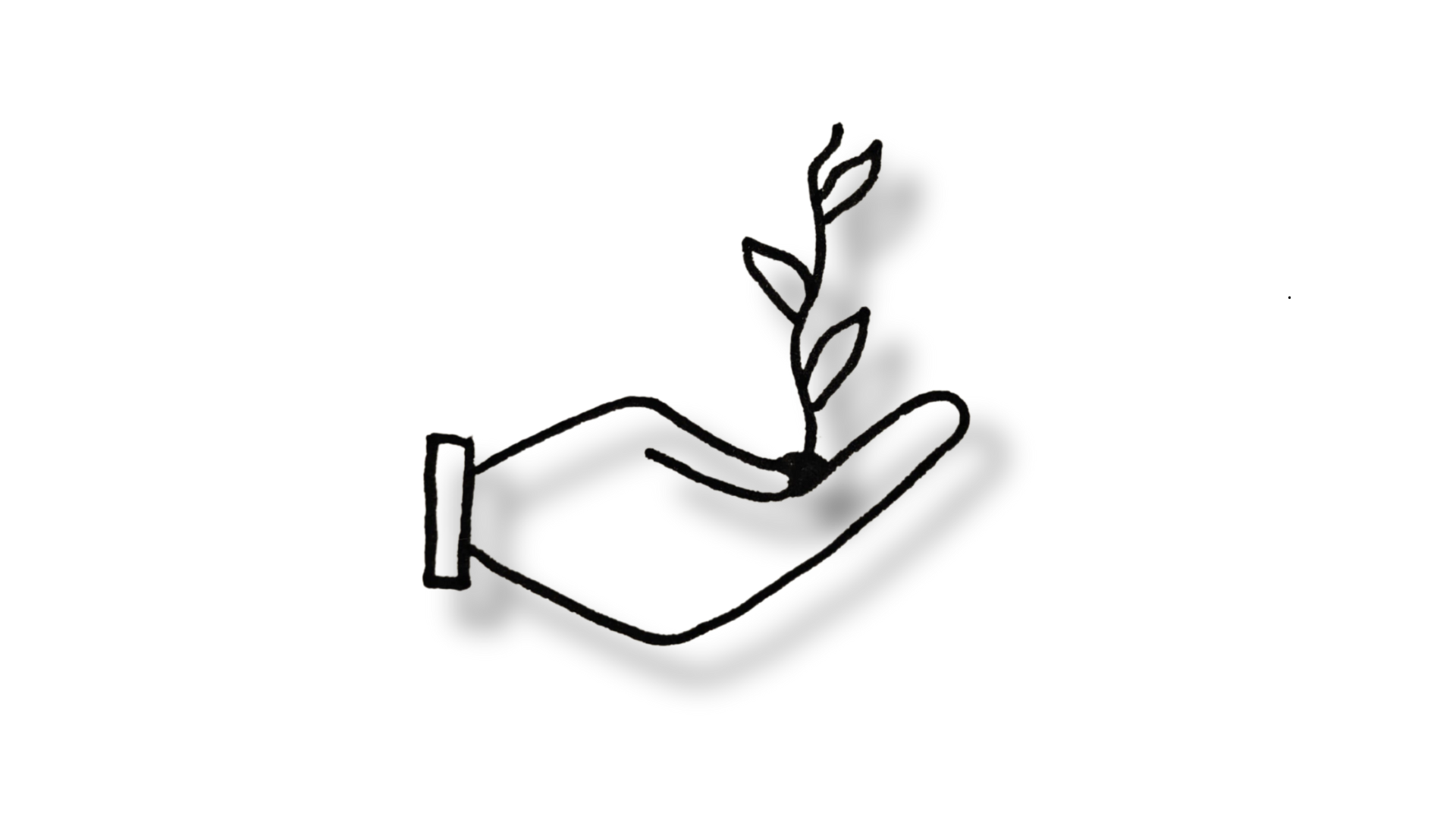 Een lijntekening van een hand die een klein, ontkiemend plantje vasthoudt.