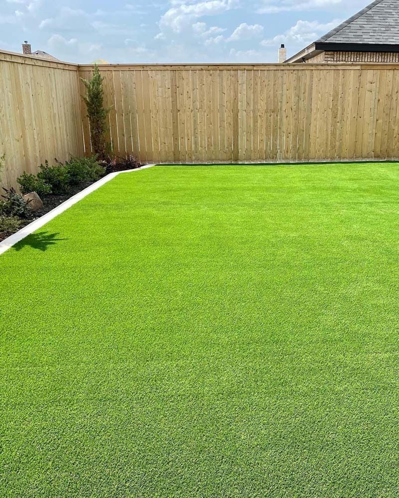 Fresh green lawn in a fenced backyard under a sunny sky