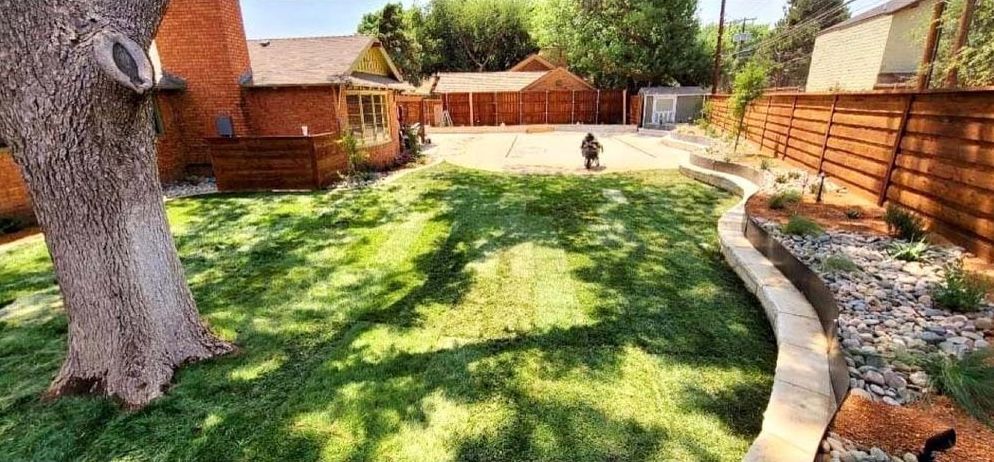 Sunny backyard with green lawn, stone edging, tree, and brick walls surrounding a patio area