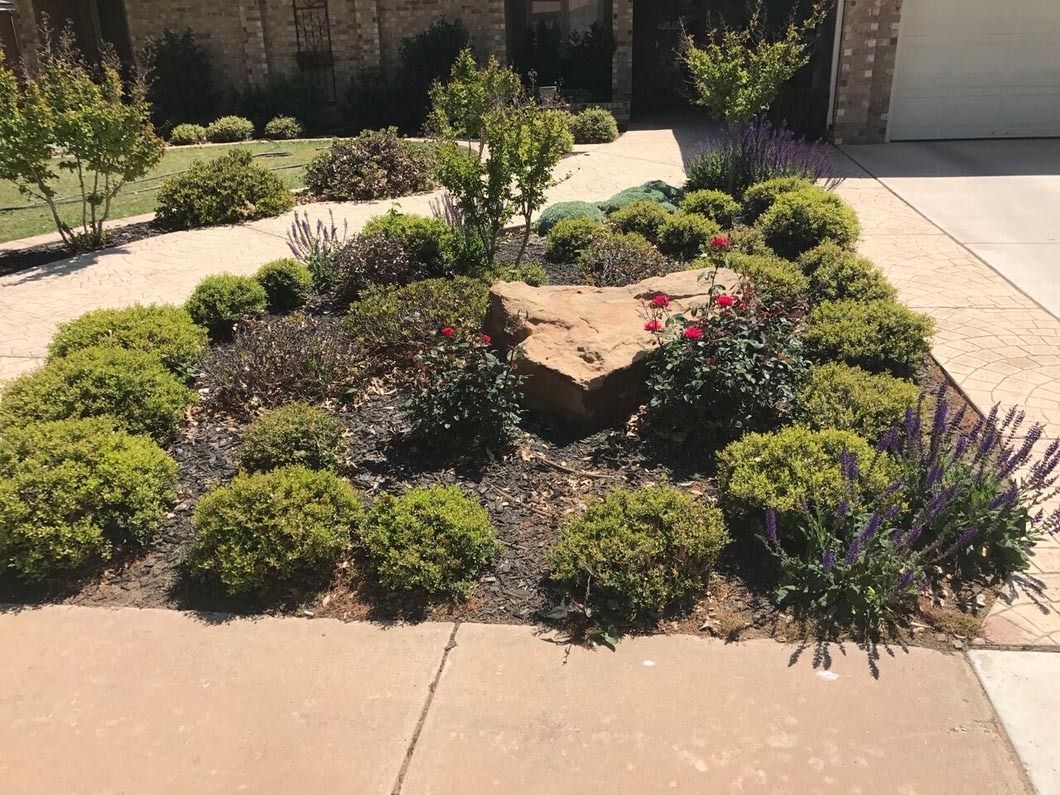 Landscaped front yard with a small circular flower bed and shrubs beside a driveway