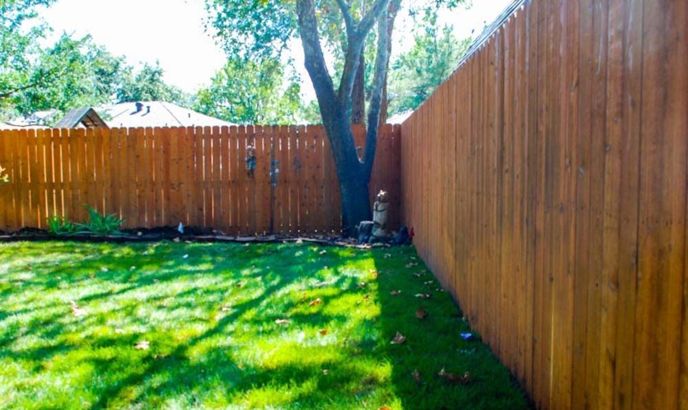 Sunny backyard with green grass, wooden fence, and a large tree casting shade