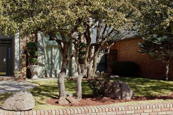 Front yard with two trees, rocks, and a brick house under dappled sunlight.