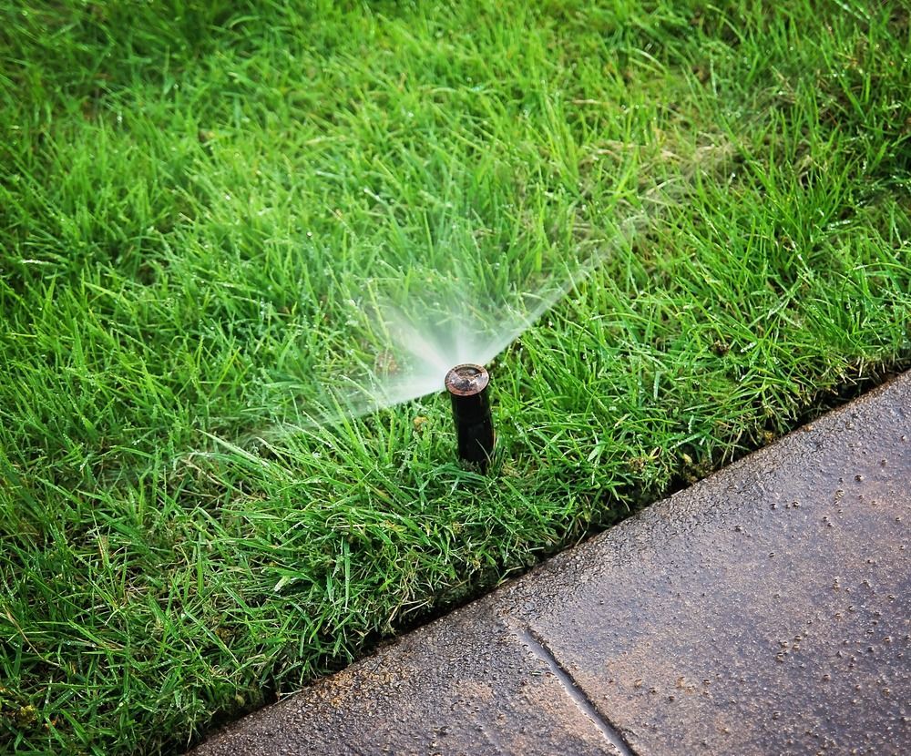 Lawn sprinkler spraying water beside a concrete sidewalk on green grass