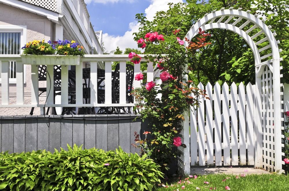 White picket gate with pink flowers and green vines beside a house and garden fence
