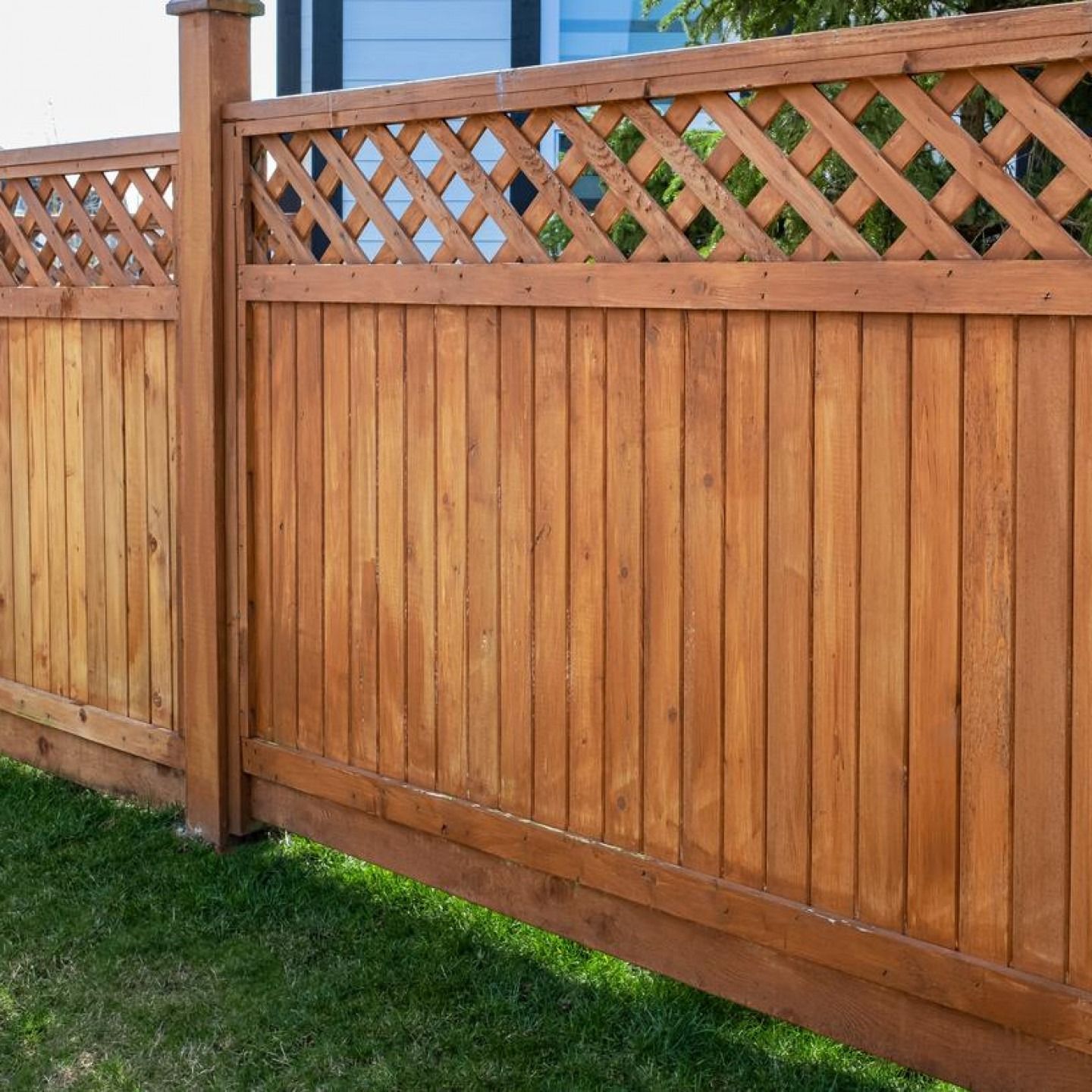 Wooden privacy fence with lattice top along a grassy yard