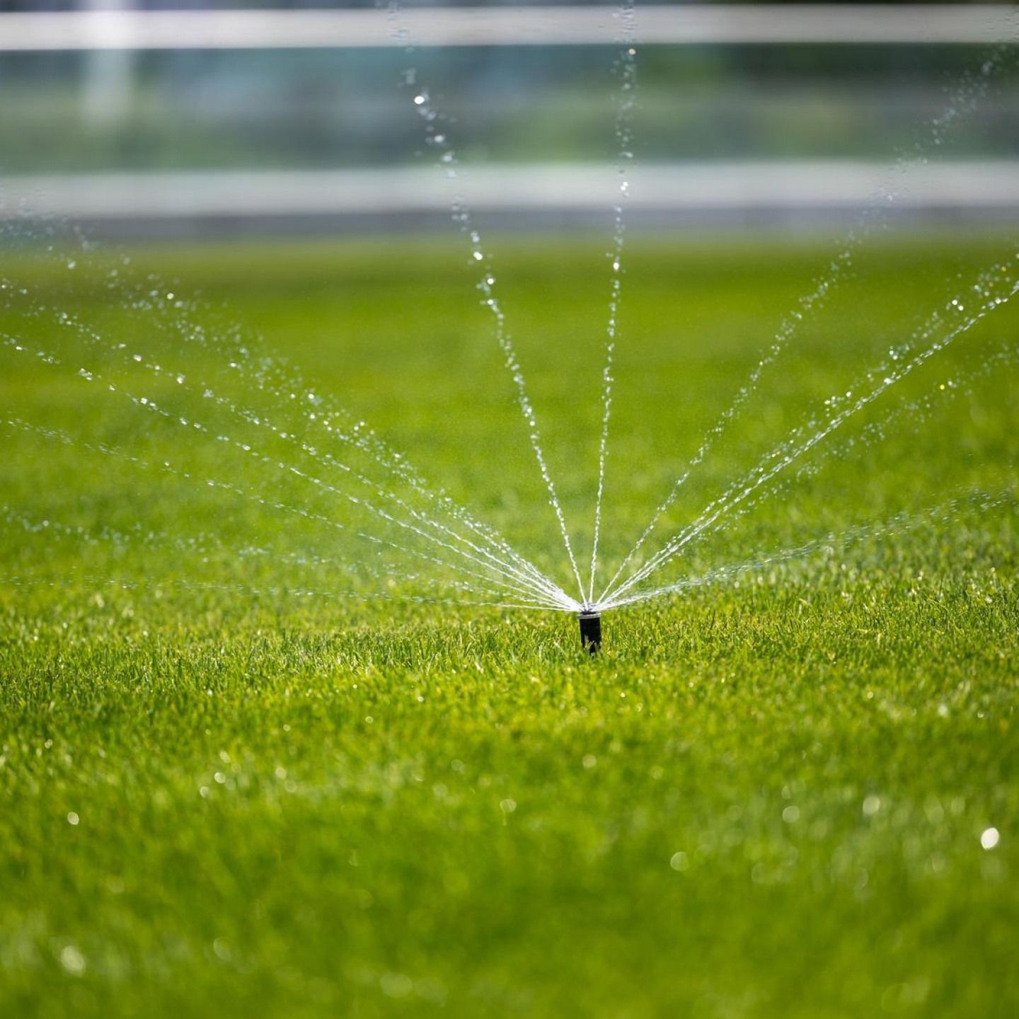 Sprinkler spraying water over a green lawn with a blurred fence in the background