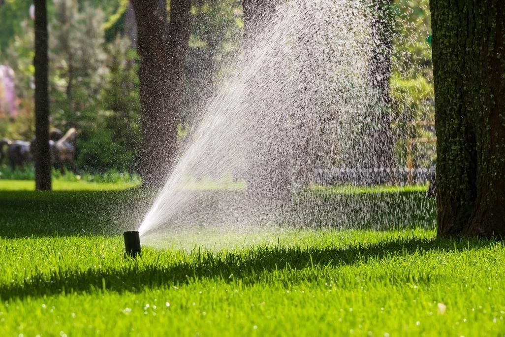 Lawn sprinkler spraying water across a bright green grassy park with trees in the background