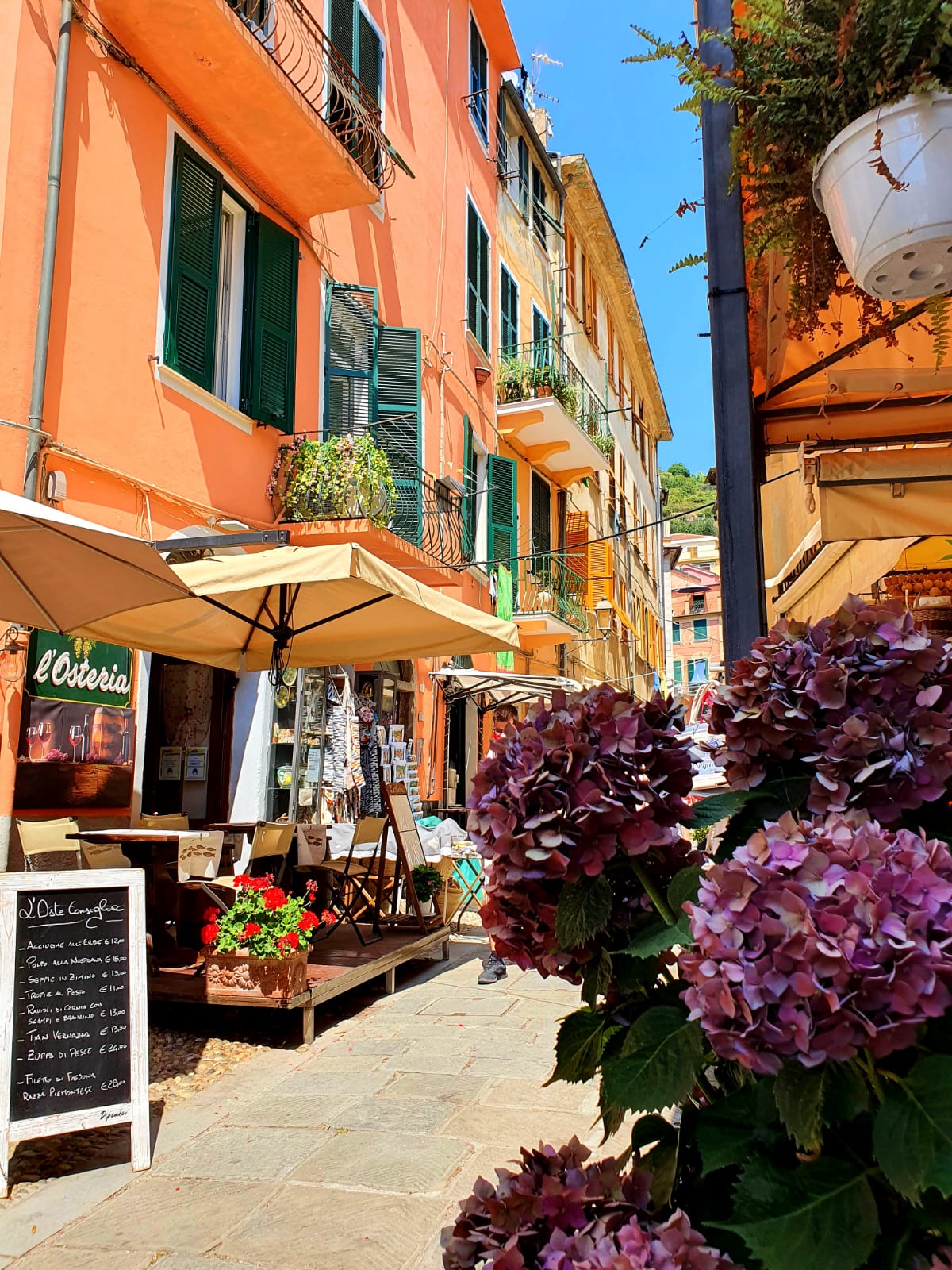 Smalle Italiaanse straat met kleurrijke gebouwen, een café met een parasol en paarse hortensia's. Cinque terre