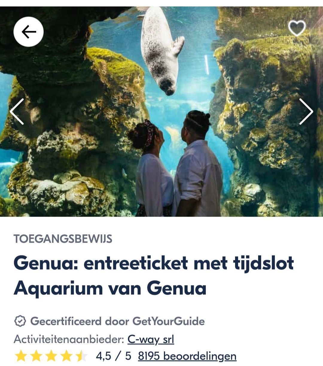 Een stel in het aquarium van Genua kijkt omhoog naar een zeehond in het water.