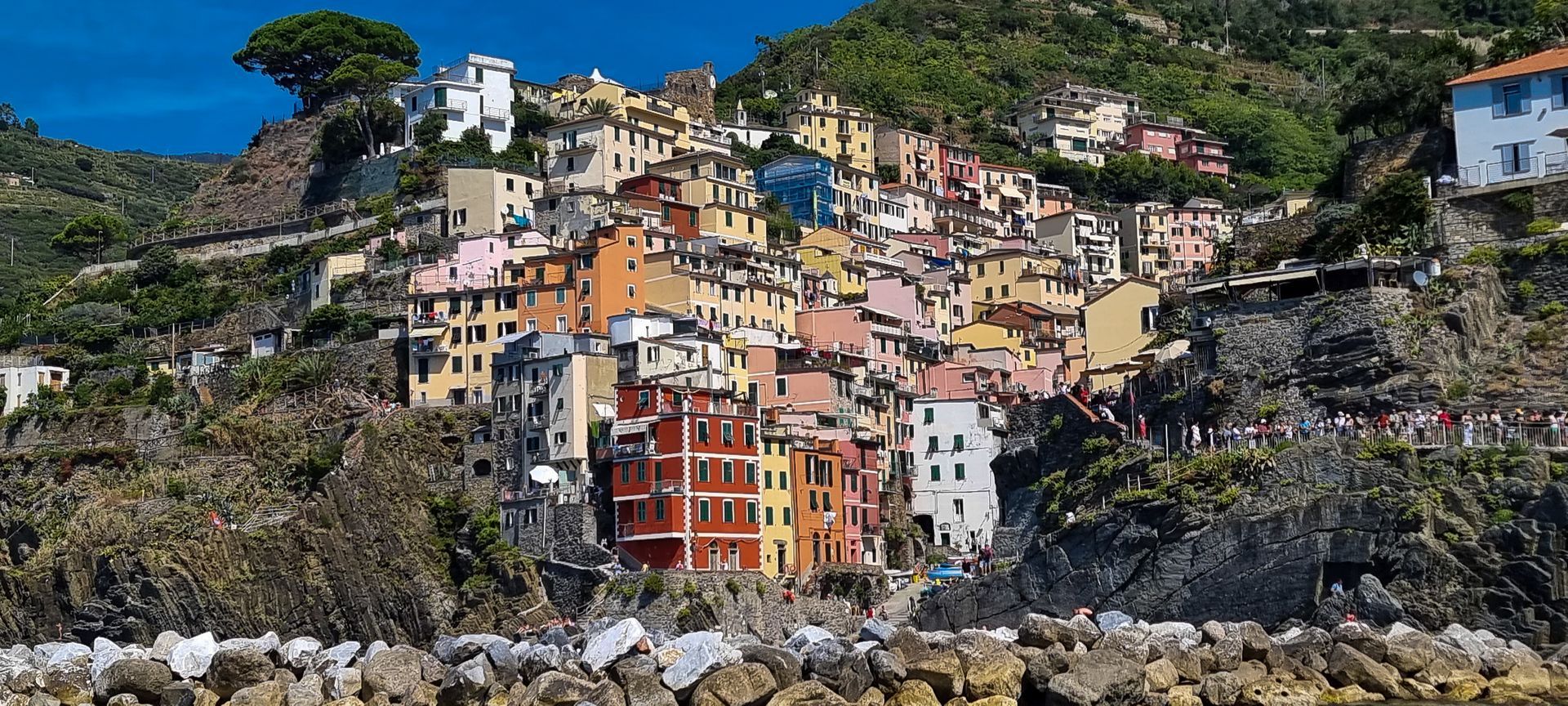Kleurrijke gebouwen liggen trapsgewijs tegen een heuvel aan, met uitzicht op de zee; Riomaggiore, Italië.
