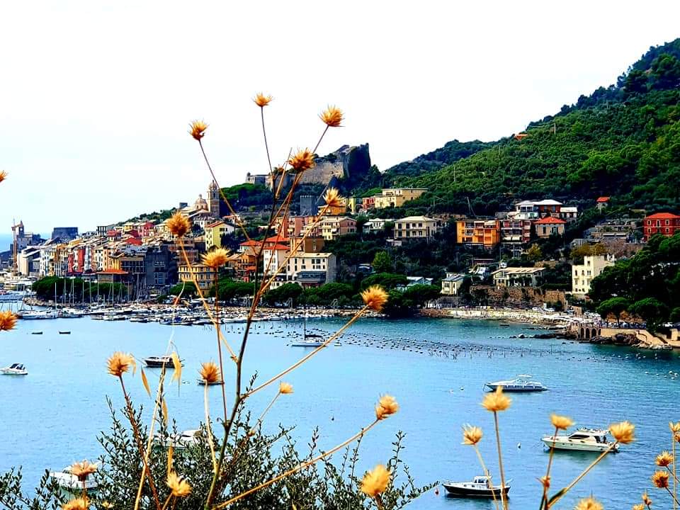 Een kustdorpje met kleurrijke gebouwen, gelegen op een heuvel met uitzicht op een rustige baai met boten; Portovenere