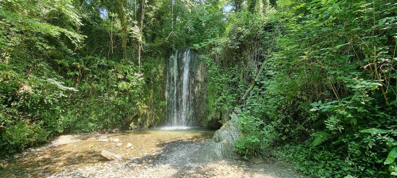Een kleine waterval stort zich langs een rotswand naar beneden, omgeven door weelderig groen.
