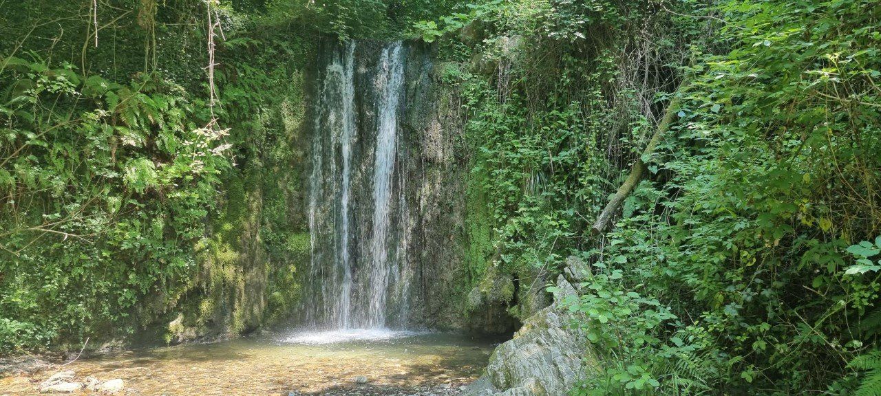 Een waterval die in een kleine vijver stort, omgeven door weelderig groen.