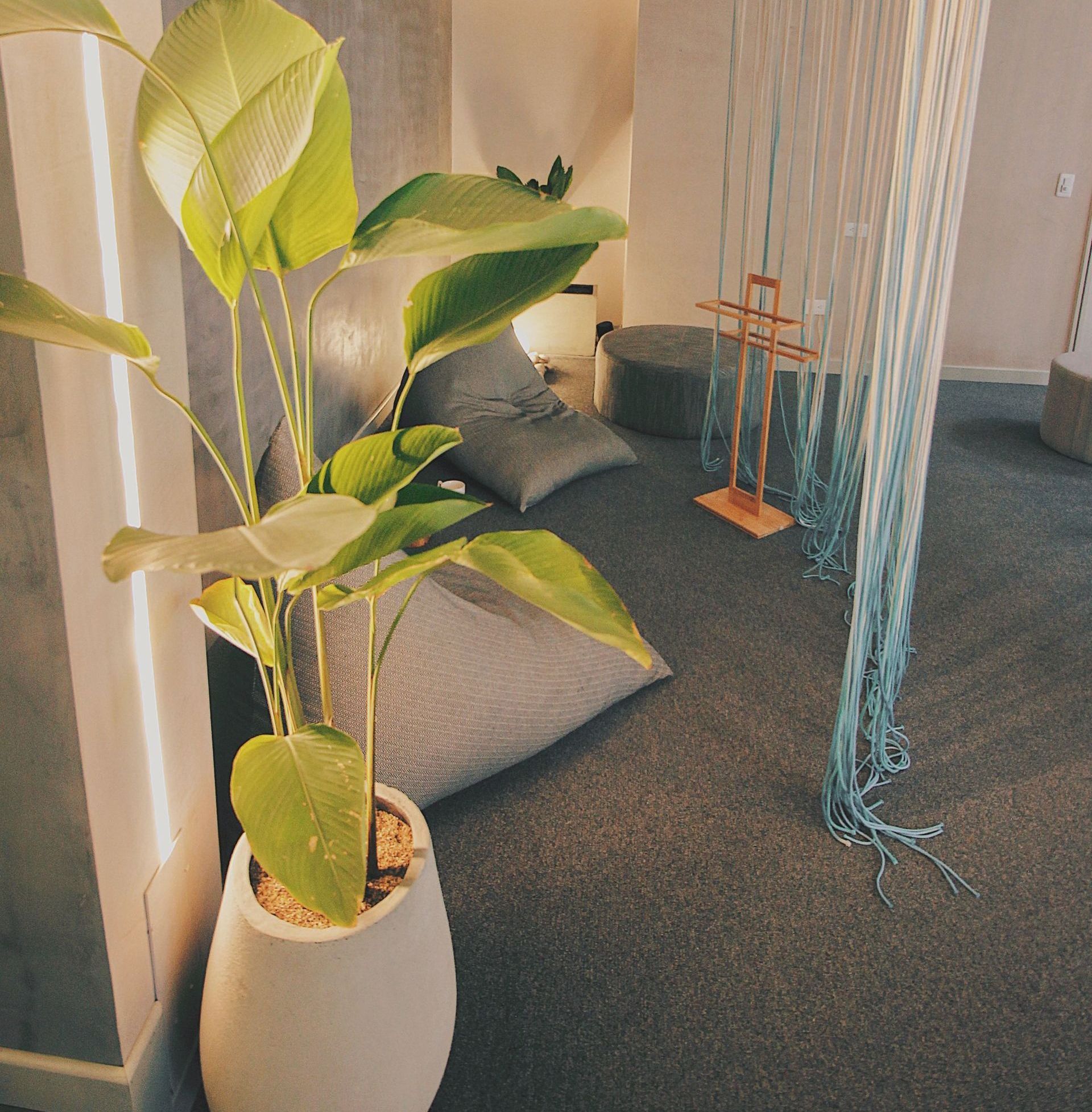 Una planta de interior en una maceta blanca se encuentra en una habitación con suelo gris y pufs, y una cortina de hilo color turquesa.