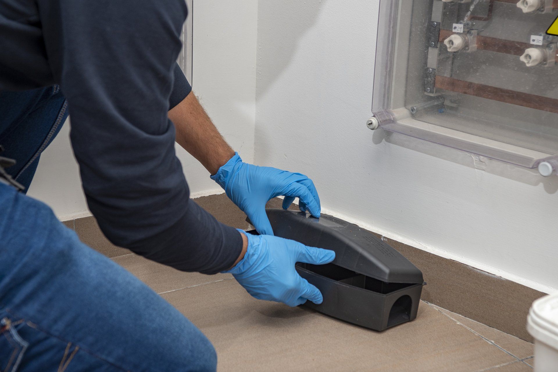 Assemble Mouse Trap - Crockett, TX - McClain’s Pest Control