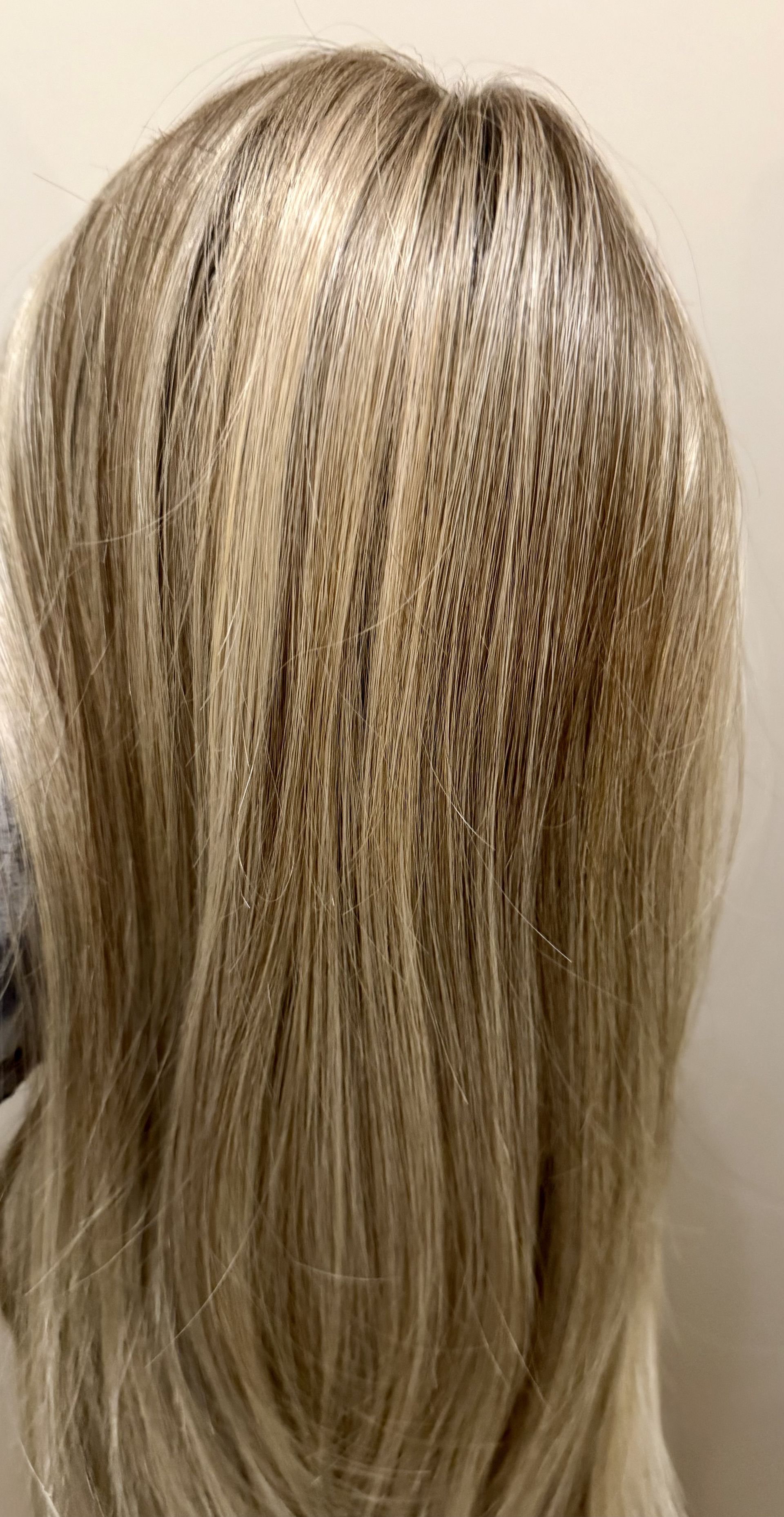 Blonde highlighted hair viewed from the back, long and straight.