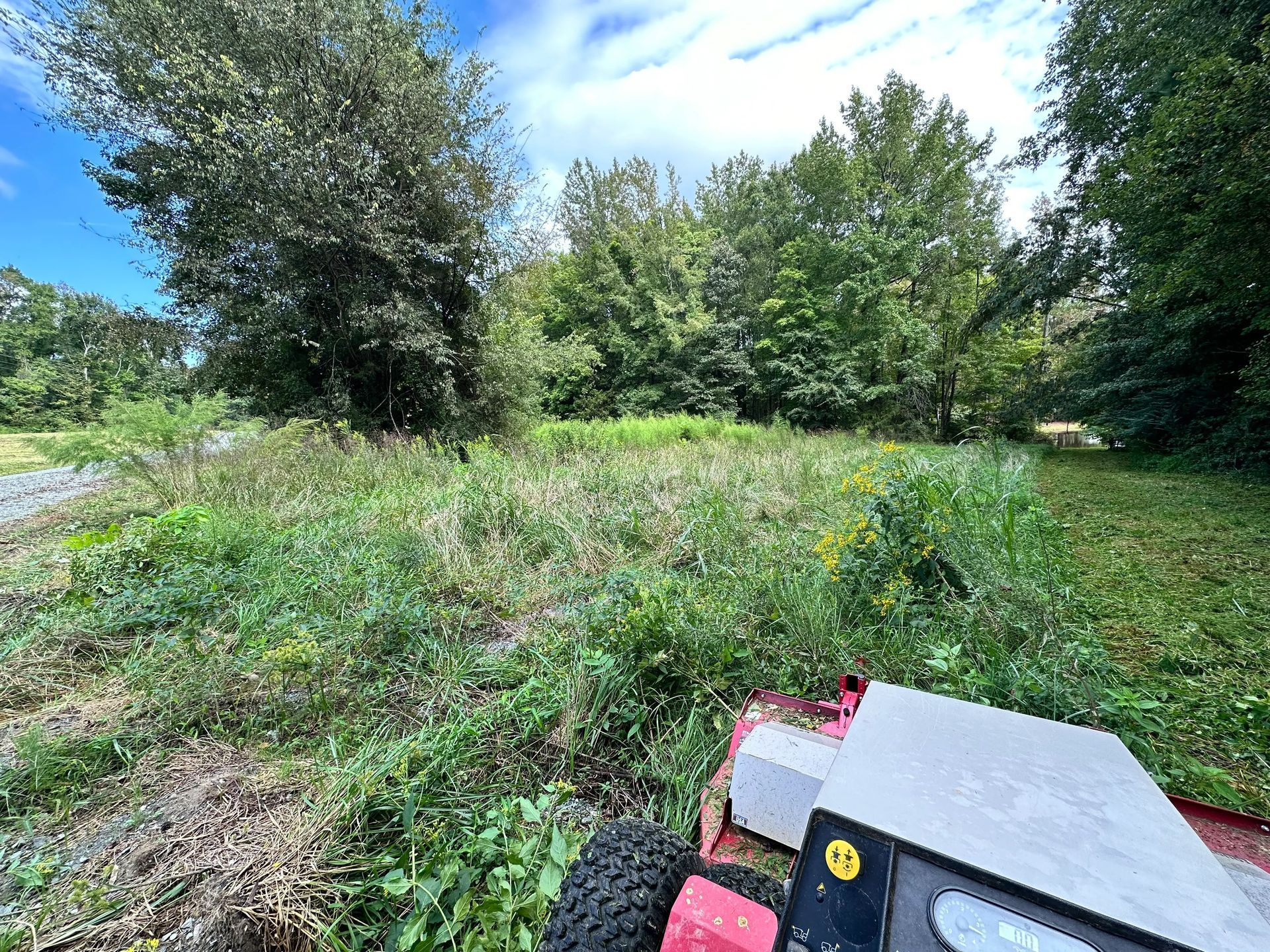 A red lawnmower cutting tall grass in a field, trees and blue sky in the background.
