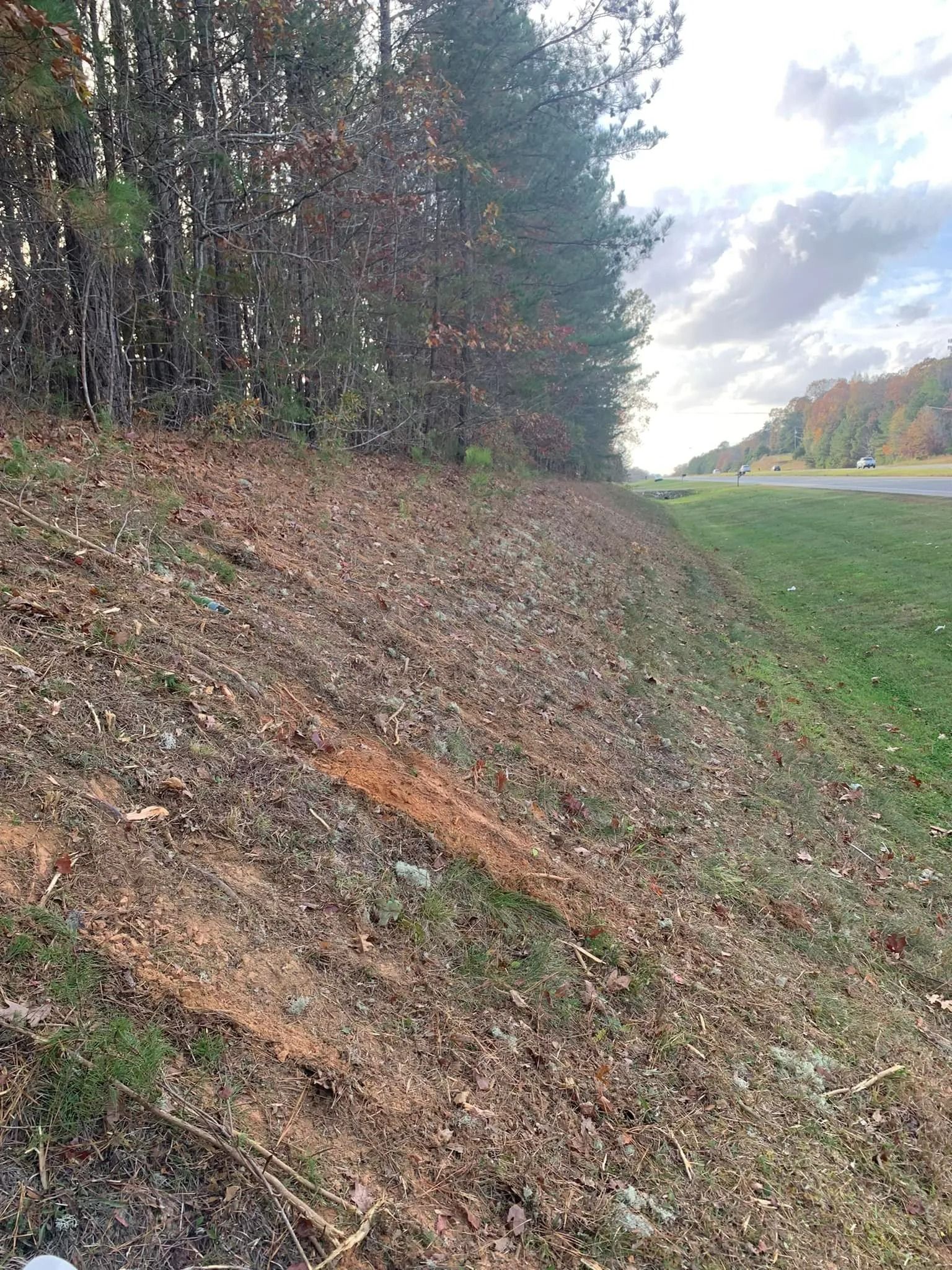 A leaf-covered embankment next to a road and trees, with a blue and cloudy sky.