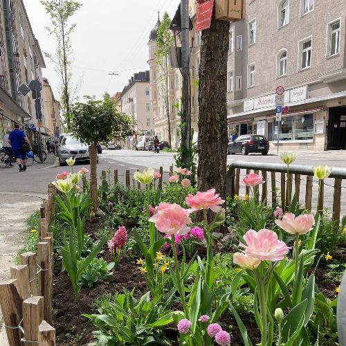 GrünPaten München blüht auf