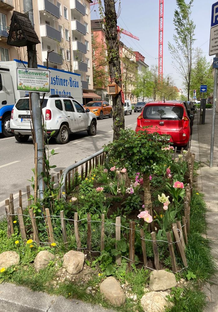 GrünPaten Beet Schwabing