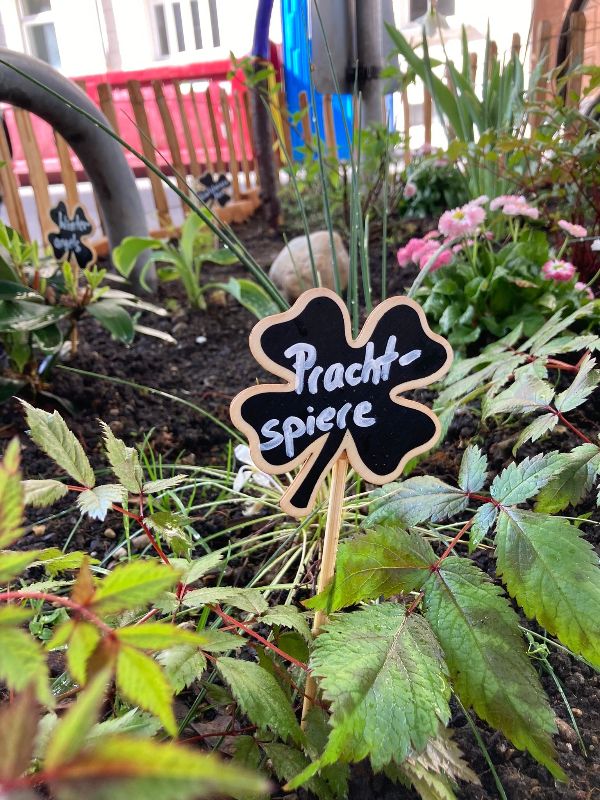 GrünPaten-Beet Georgenstraße 91