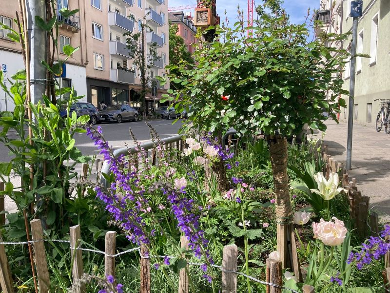 GrünPaten München blüht auf