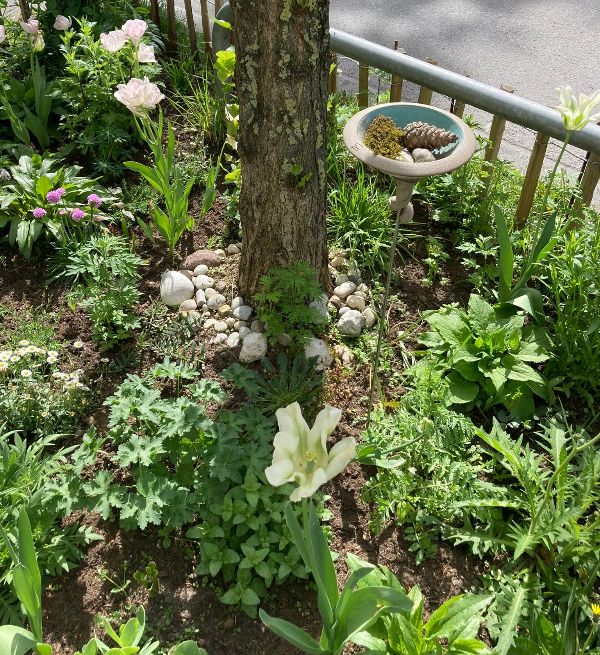 GrünPaten Beet Schwabing