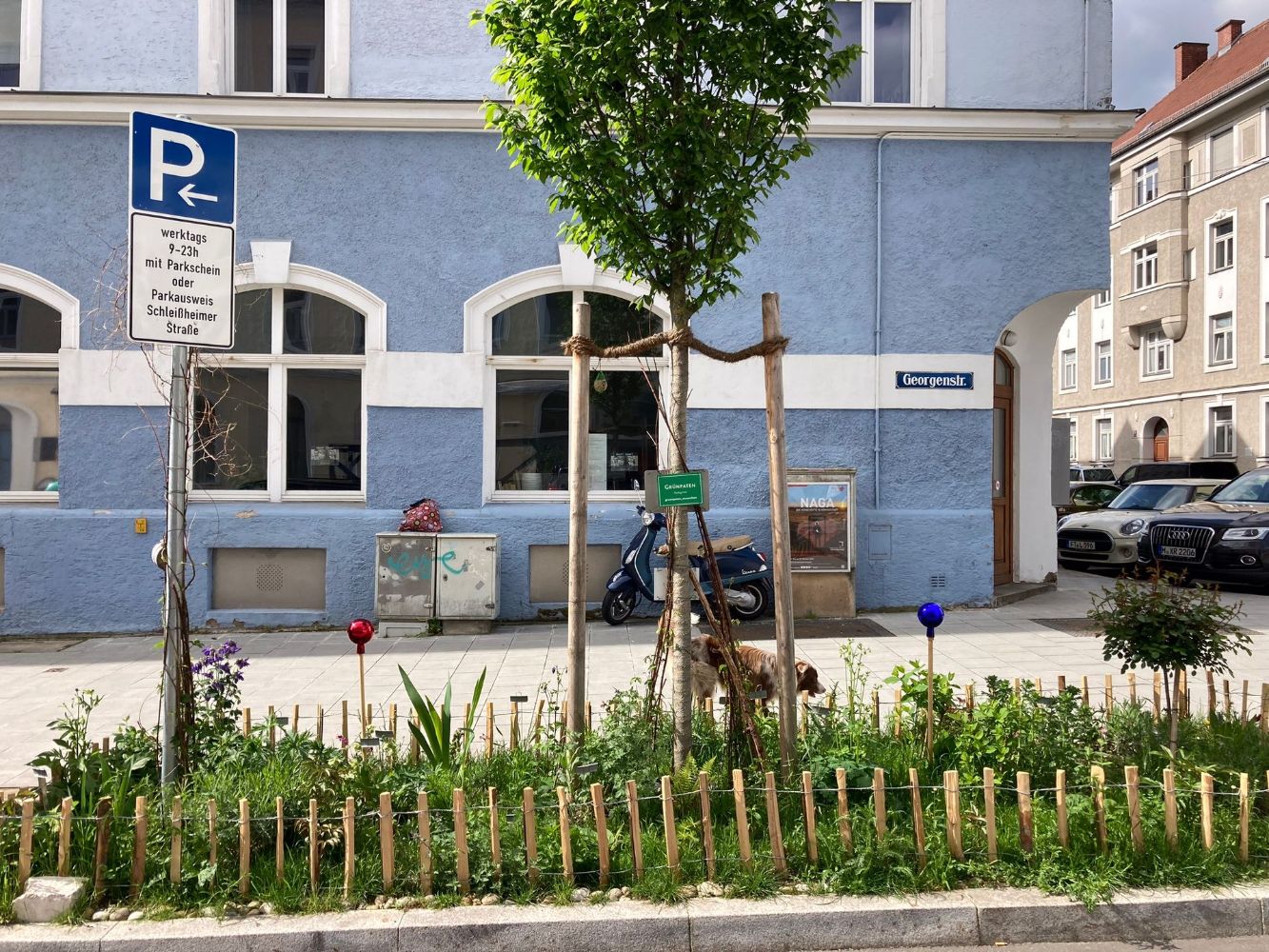  GrünPaten Patenschaft für ein Straßenbeet